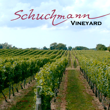 Schuchmann Wines Georgia – A new Member of GAACC