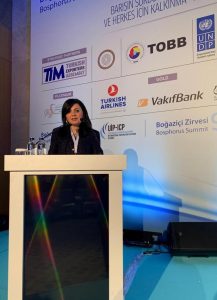 The 9th Bosphorus Summit 2018